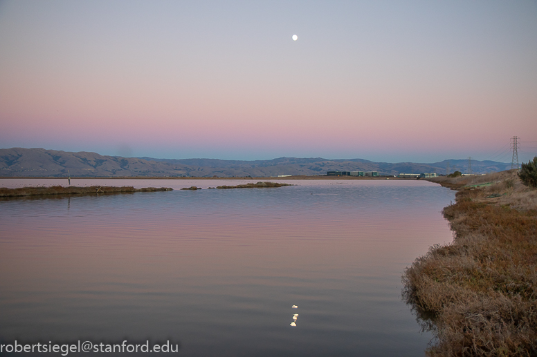 Sunnyvale Bay Trail